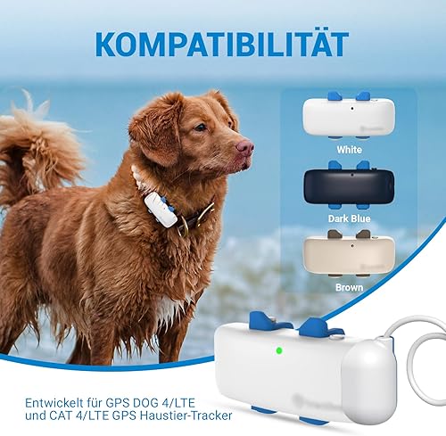 Câble magnétique USB-C pour chargeur GPS - Compatible avec Tracti DOG 4 - Pour chien - Câble de charge de rechange avec adaptateur secteur - Shop-Ritbs