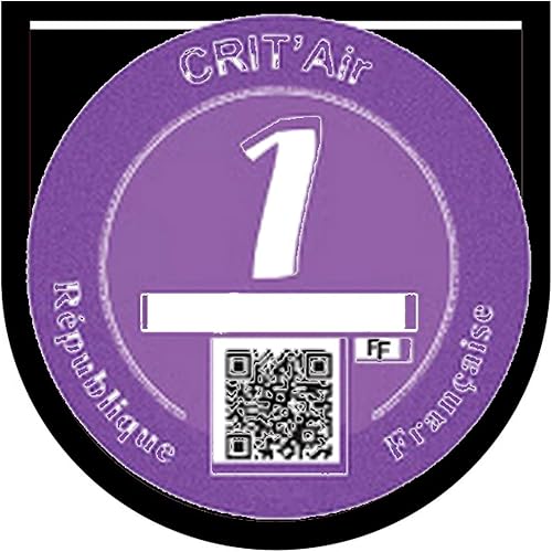 Générique Vignette CRIT AIR Support Macaron Pollution Stickers Auto rétro (Noir) - Shop-Ritbs